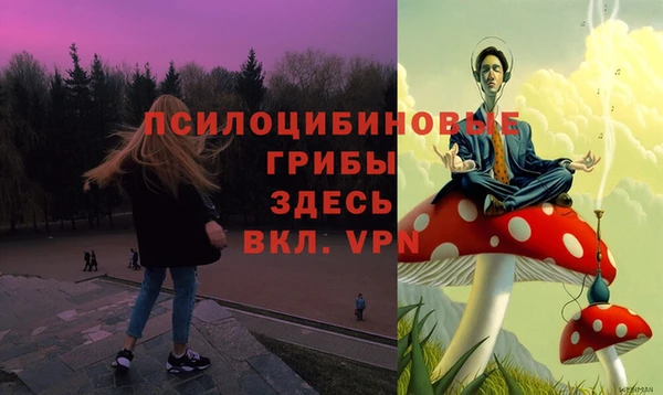 прущие грибы Алексин