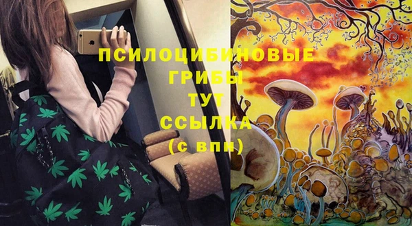 кристаллы Алзамай
