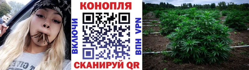 hydra tor  Мамоново  shop клад  Канабис Ganja 